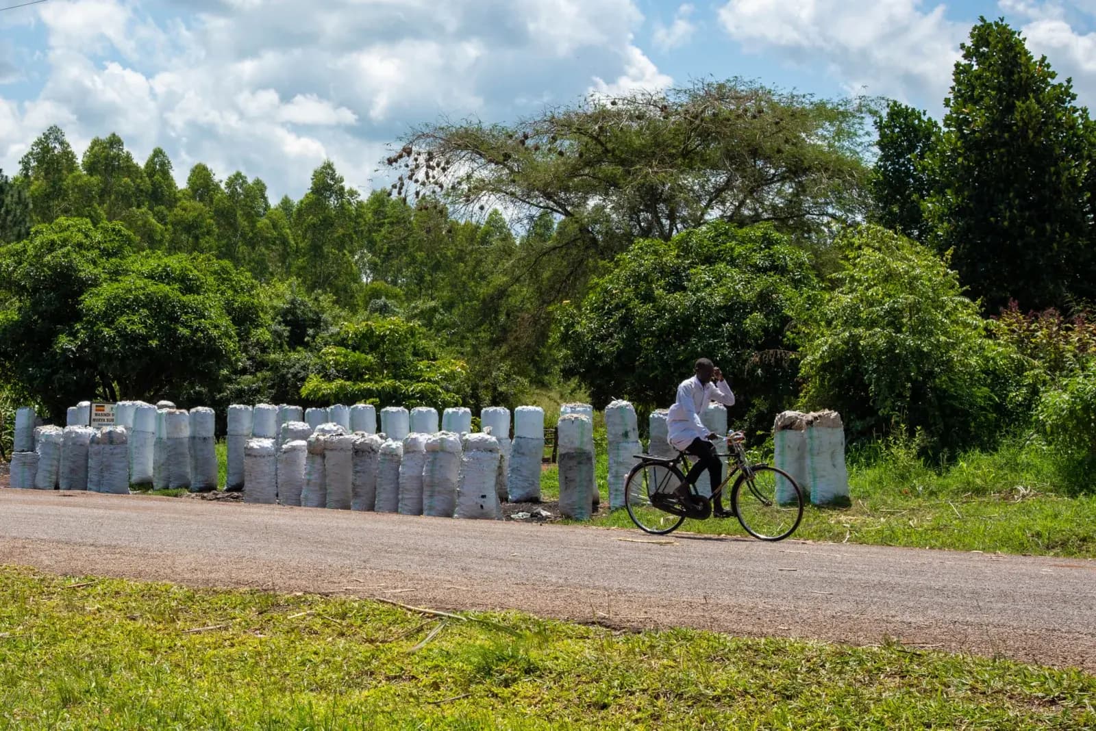 Sacs de charbon alignés au bord d’une route à Masindi, en Ouganda, en juin 2022