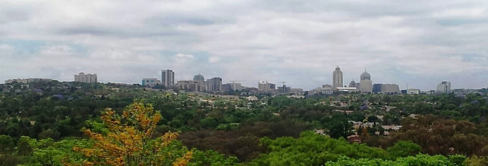 Panorama urbain de Sandton dans le Gauteng